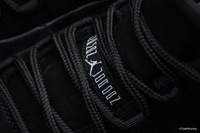 528895-010 Low Jordan 11 